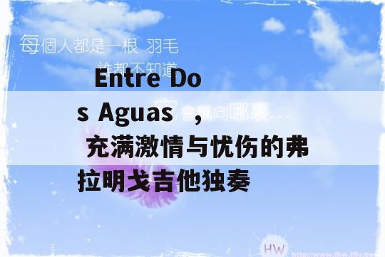   Entre Dos Aguas  ， 充满激情与忧伤的弗拉明戈吉他独奏